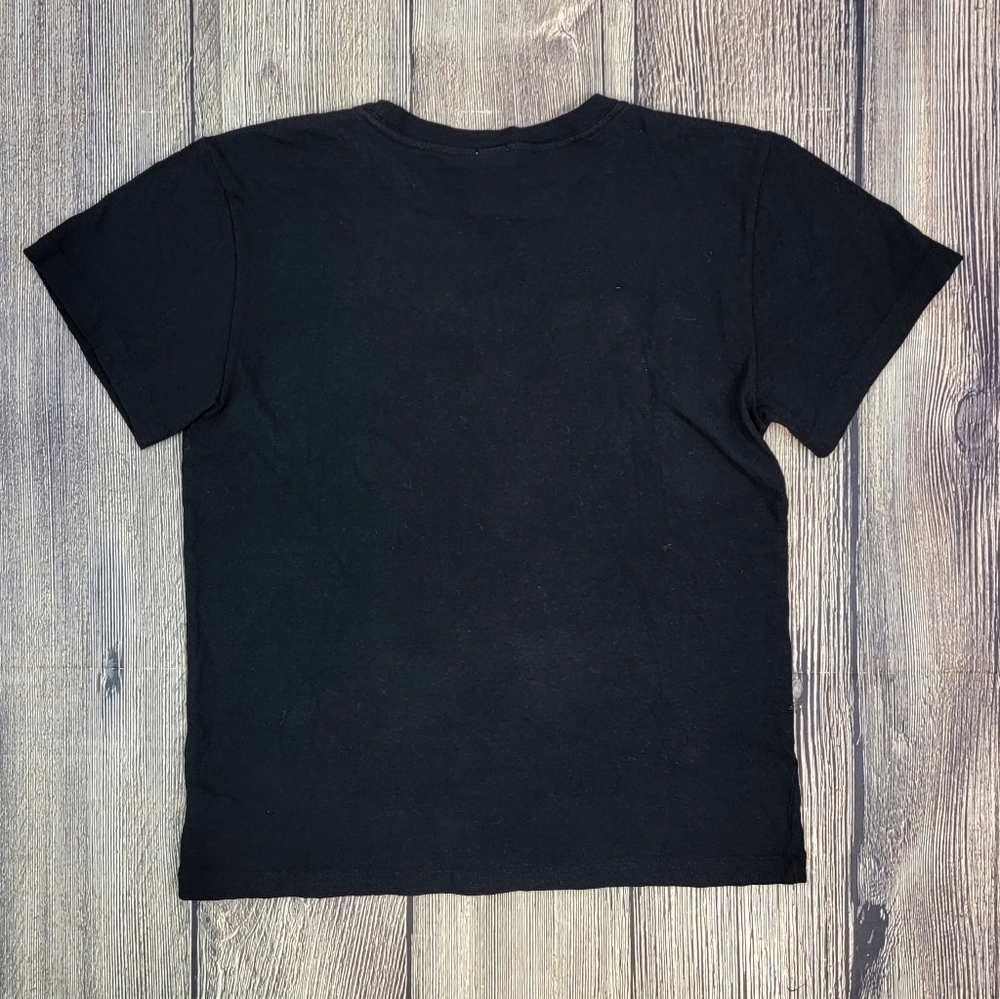 Re/Done x Hanes NWT Lake Tahoe Classic Tee - Picture 6 of 10